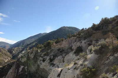 DSC_6289 (Large).JPG